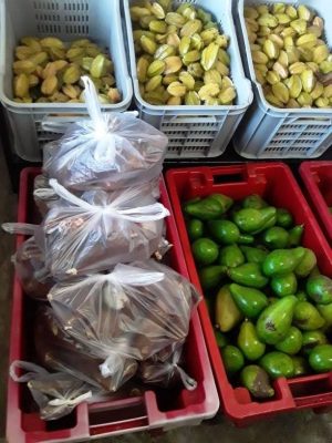 IMG-20230125-WA0010 IMG-20230125-WA0010